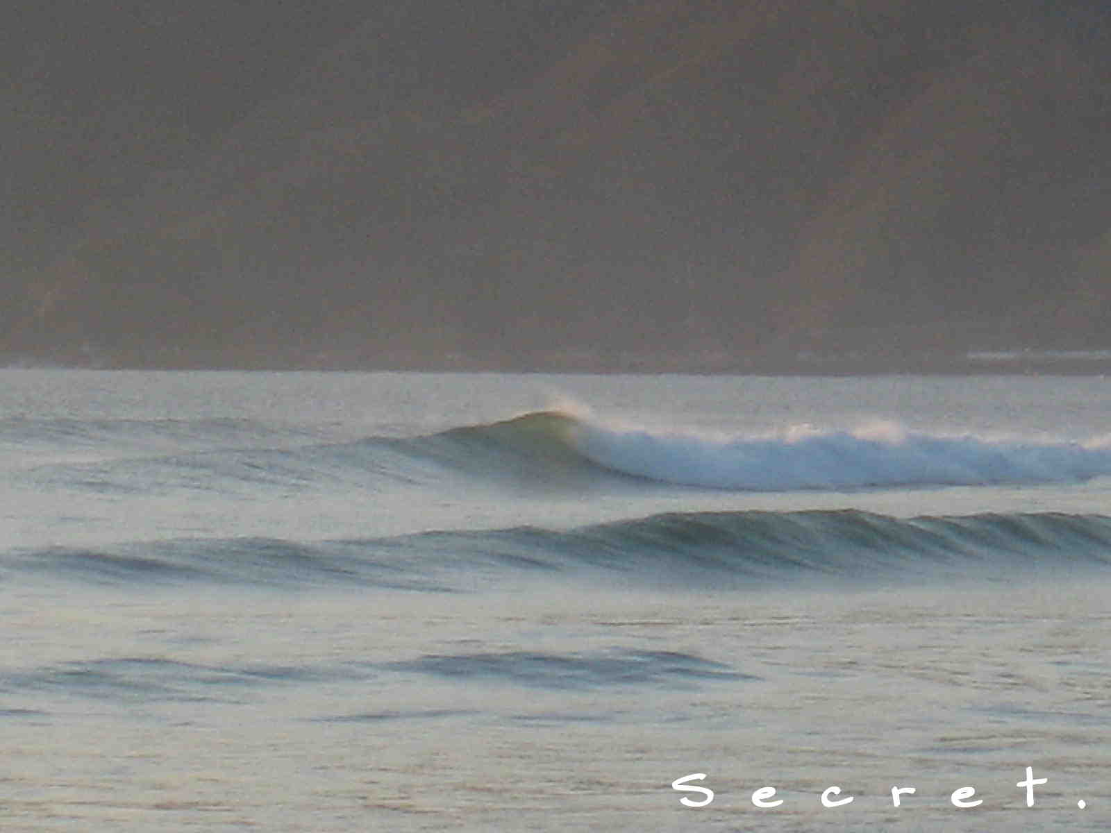 d0085470_20233355.jpg