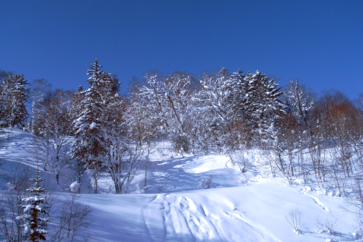 e0100772_21323191.jpg