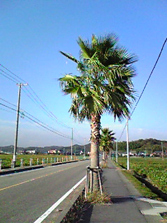 f0124177_20424889.jpg