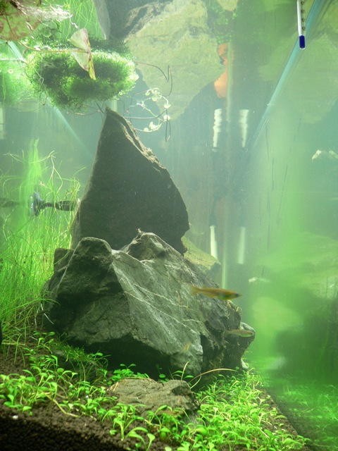 e0112379_23371766.jpg