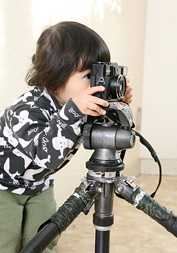 f0070779_19321867.jpg