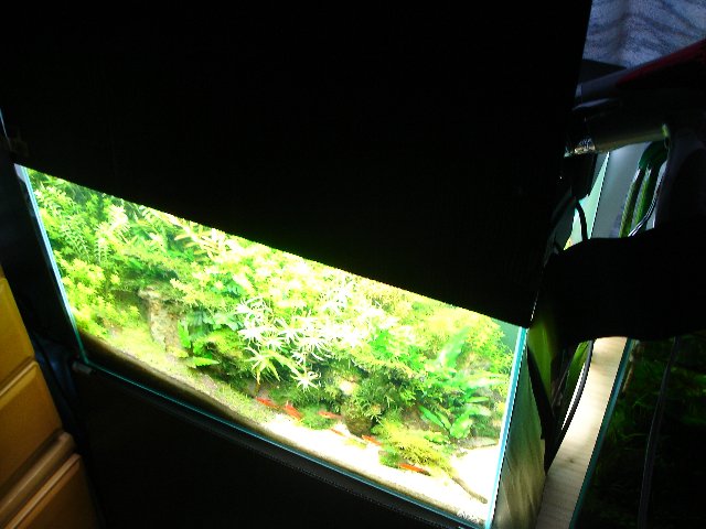 f0087479_2154458.jpg