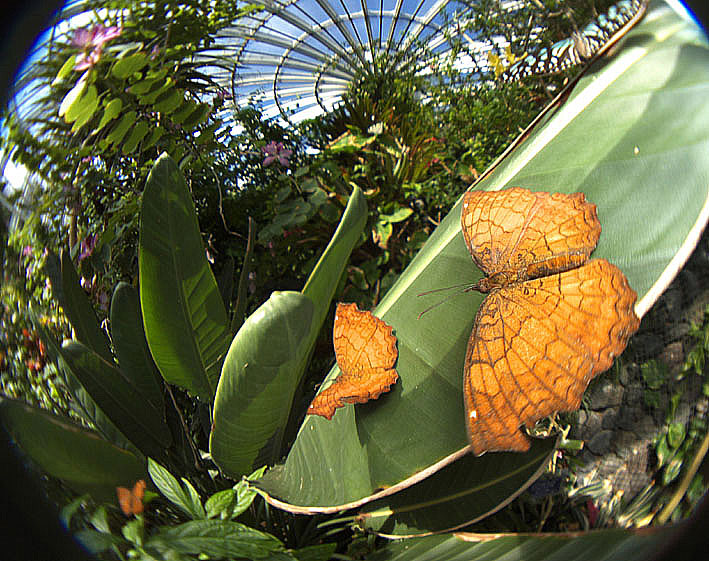 f0090680_23225075.jpg