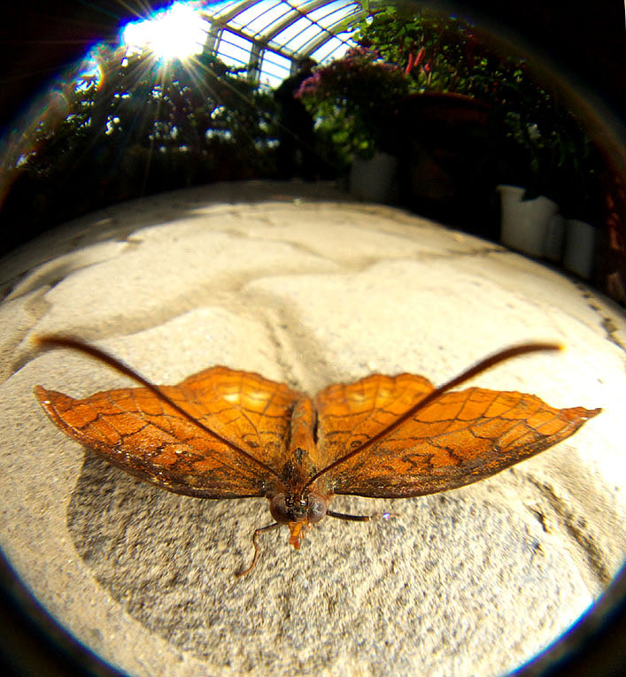 f0090680_2323836.jpg