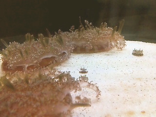 c0076383_20305426.jpg