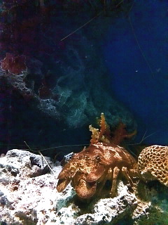 c0076383_20313767.jpg