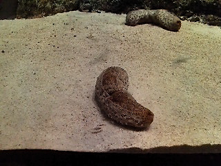 c0076383_20322413.jpg