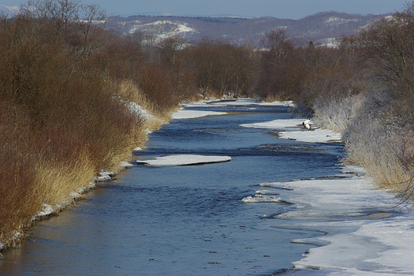 e0051186_2349150.jpg