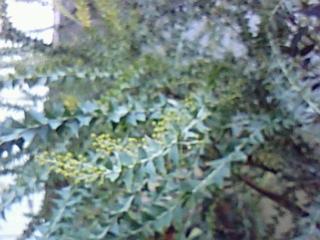 e0037600_13253669.jpg