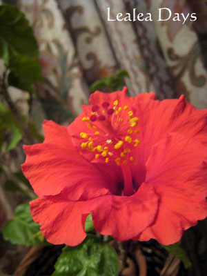 b0000801_001855.jpg