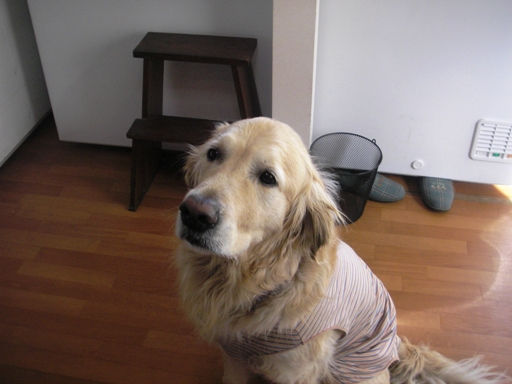 f0034602_1028712.jpg