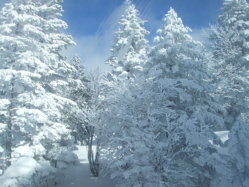 e0015006_11462750.jpg