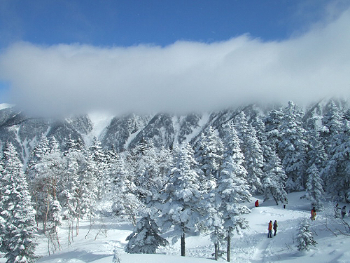 e0015006_11475100.jpg