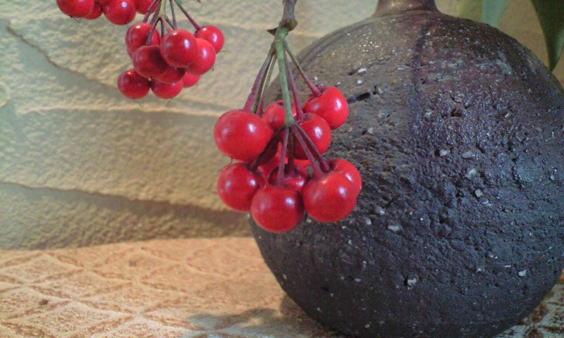 d0000607_18363719.jpg
