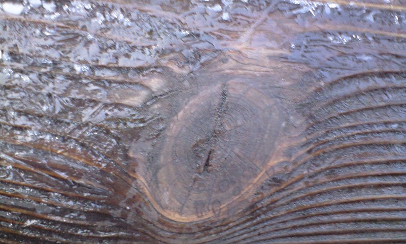 d0000607_18363721.jpg
