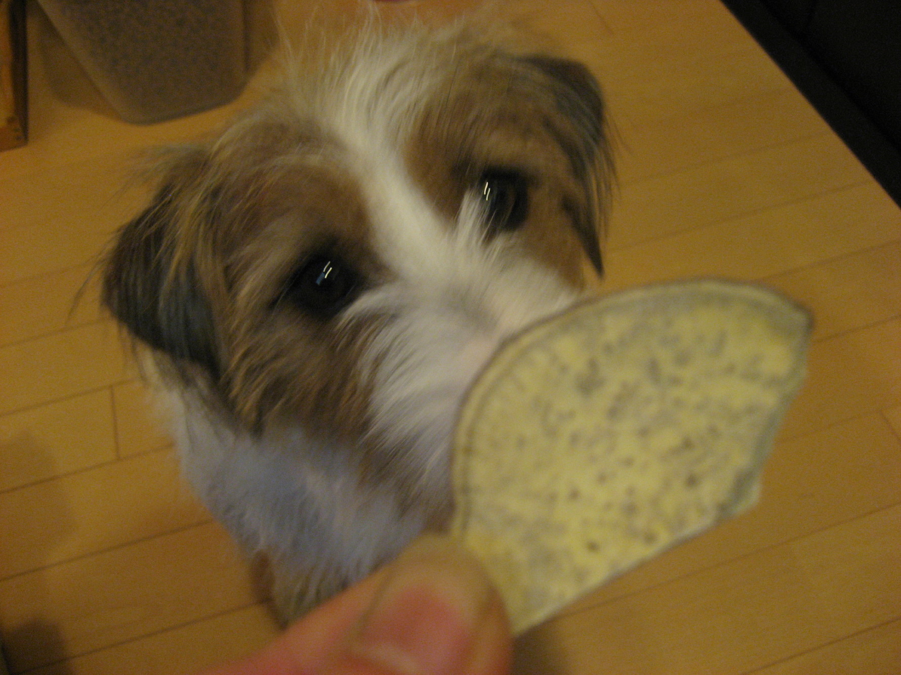 e0127409_15552173.jpg