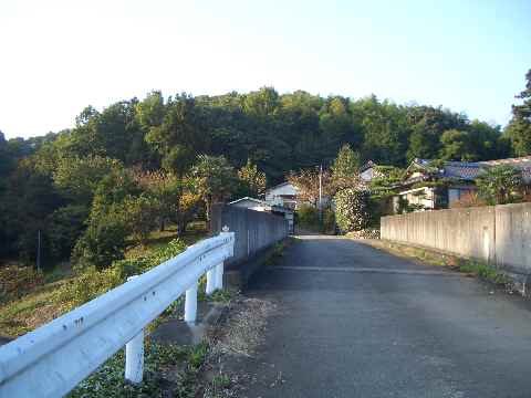 c0051112_15122757.jpg