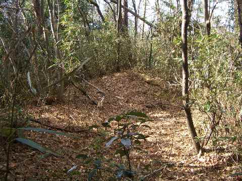 c0051112_15135371.jpg
