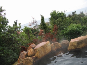 f0126515_11294215.jpg