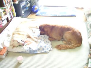 b0008217_964266.jpg