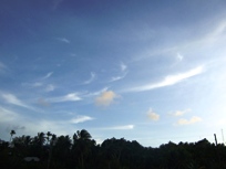 a0043520_1914544.jpg