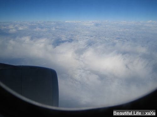 d0005621_0441749.jpg