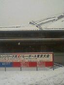c0039323_2535323.jpg