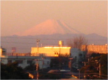 b0028524_8391892.jpg