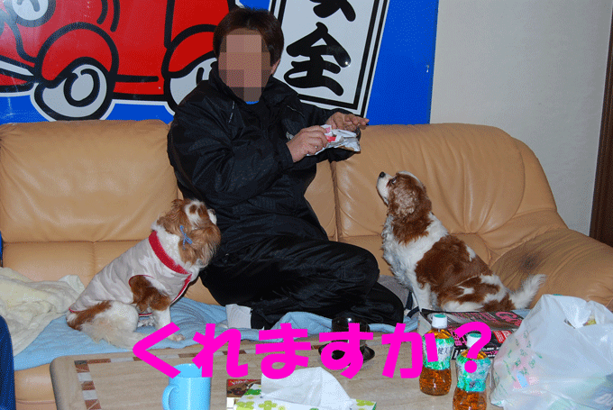 c0136838_23154235.gif