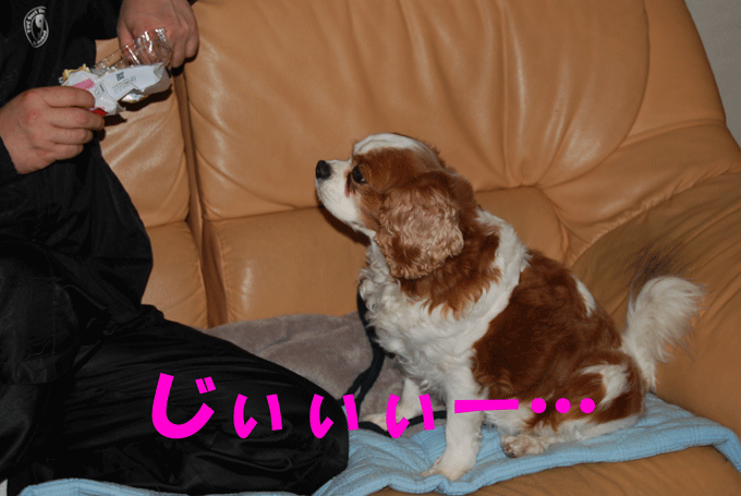 c0136838_23203964.gif