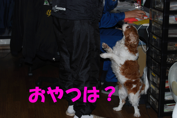 c0136838_23222111.gif