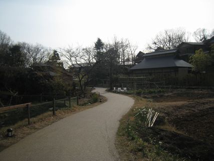 f0058241_1659414.jpg