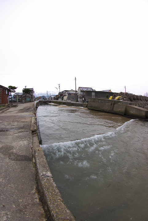d0098645_21422413.jpg