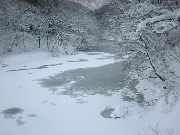 e0041948_17362320.jpg