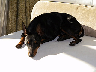 c0123149_13331291.jpg