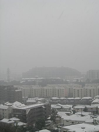 c0074156_20522729.jpg