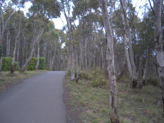 e0131959_1021728.jpg