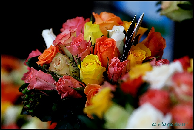 b0087463_15371025.jpg