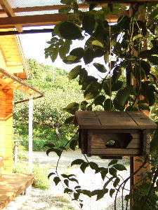 e0067563_910811.jpg