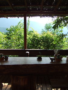 e0067563_914108.jpg