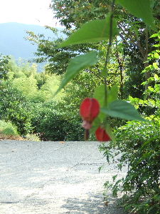 e0067563_9171334.jpg