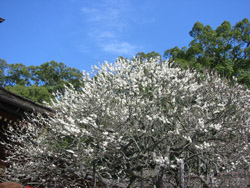 c0117570_15594199.jpg