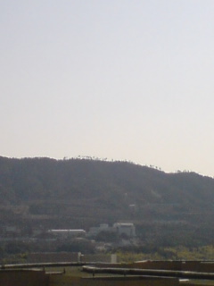 c0077871_10513392.jpg