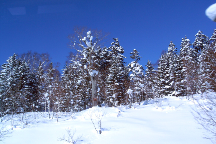 e0100772_22344066.jpg