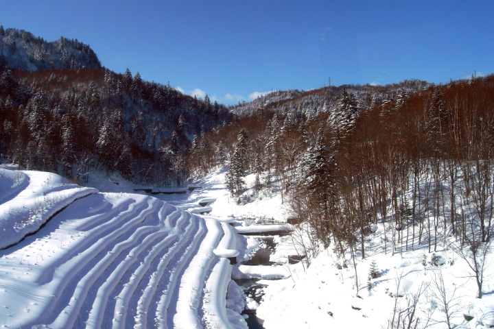 e0100772_22454296.jpg
