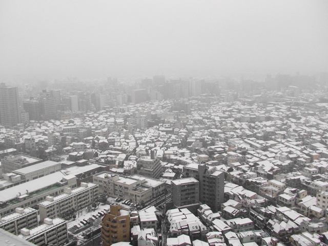 d0004574_1954189.jpg