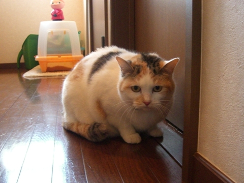 a0013479_0202450.jpg