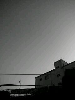 f0100480_2042361.jpg