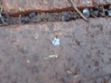 e0096485_10414239.jpg