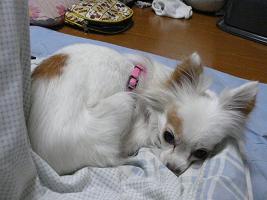 c0123890_22275216.jpg